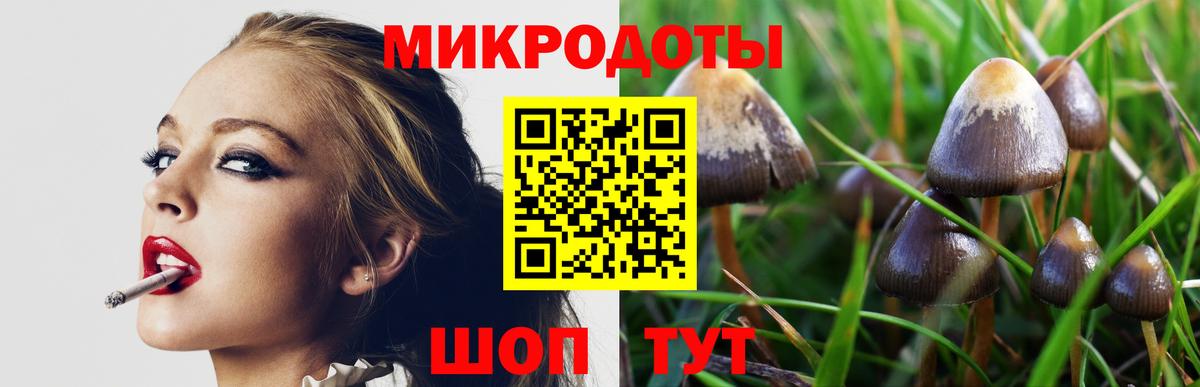 Псилоцибиновые грибы Psilocybine cubensis  Галлюциногенные грибы прущие грибы  хочу   Вход с VPN  Псков 