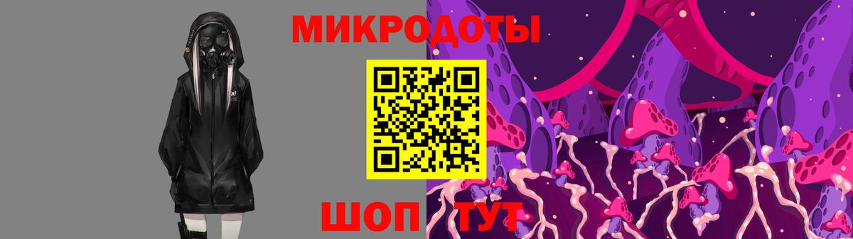 Псилоцибиновые грибы GOLDEN TEACHER Псков